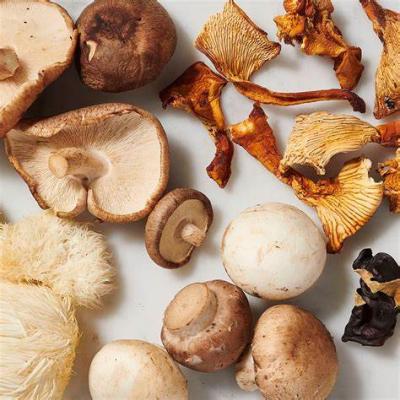 새로운 연구에 따르면 버섯은 비타민 D 보충제만큼 효과적입니다.